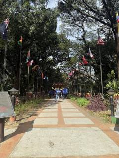 IntlYearofCoop013125_4